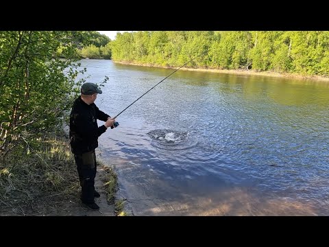 Видео: РЫБАЛКА НА "ТИРОЛЬКУ" УДАЛАСЬ / FISHING ON THE "TYROLKA" WAS A SUCCESS