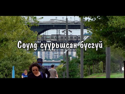 Видео: Сөүлд суурьшсан бүсгүй /2024.10.24/