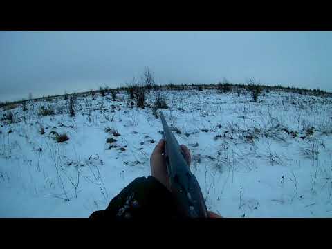 Видео: Охота на зайца с РПГ! Не хотел, да взял!