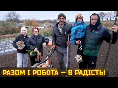 Видео: Садимо часник усією сім’єю 💪💛 Оце справжня сімейна справа! 🌱