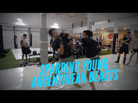 Видео: Спарринг молодых аргентинских ЗВЕРЕЙ (разбор)