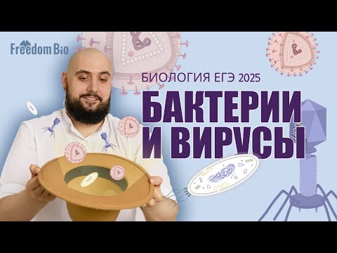 Видео: БАКТЕРИИ И ВИРУСЫ |Общая биология |ЕГЭ БИОЛОГИЯ 2025|Freedom|