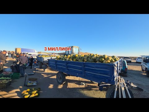Видео: КОВУН БАЛИК ВА ЕМ ХАШАК НАРХЛАРИ ЭЛЛИККАЛА БУСТОН