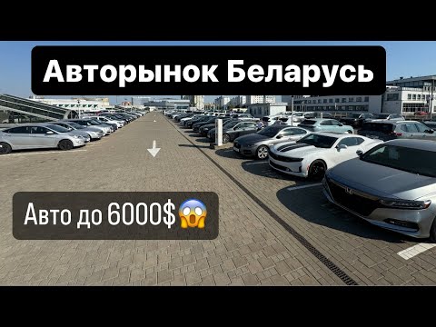 Видео: АВТОРЫНОК Беларусь АВТО до 6000$ цены КОНЬ!