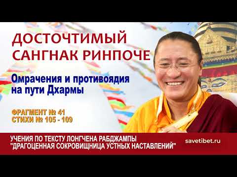 Видео: Сангнак Ринпоче. Омрачения и противоядия на пути Дхармы