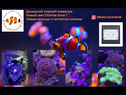 Видео: Морской аквариум дома. Новый светильник Chihiros Nova. Надо ли делать тесты воды?