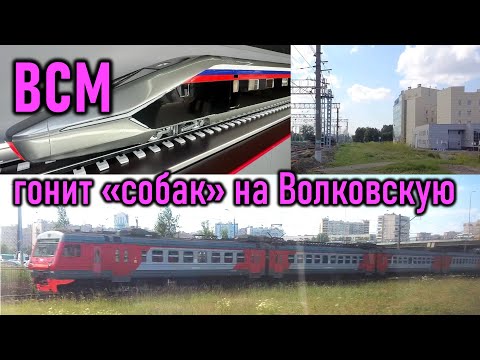 Видео: ВСМ гонит "собак" на Волковскую