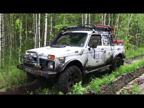 Видео: Экспедиция по тайге часть 2.