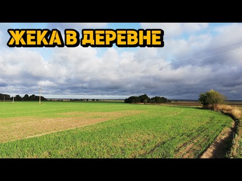Видео: В ДЕРЕВНЮ В 27 . Жизнь в ДЕРЕВНЕ молодого ПАРНЯ. Развожу ОВЕЦ.