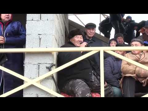 Видео: 13.11 2022 Арыс көкпар