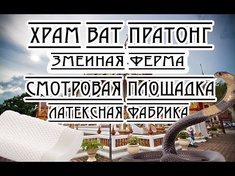 Видео: Змеиная ферма, Храм Ват Пратонг, Смотровая площадка Тайланд, Пхукет 2023 год!