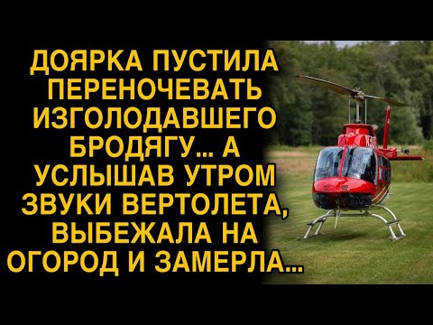Видео: Доярка пустила переночевать бродягу, а утром услышала звуки вертолета...