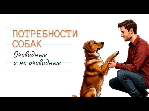 Видео: Потребности Очевидные и не очевидные
