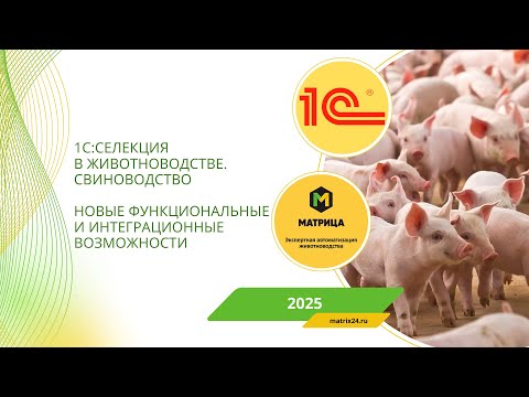 Видео: Вебинар "Селекция в животноводстве. Свиноводство – новые функциональные возможности"