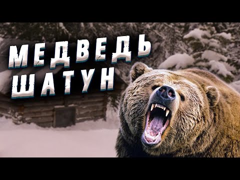 Видео: 🐻Только чудо помогло охотнику избежать гибели при встрече с медведем шатуном!
