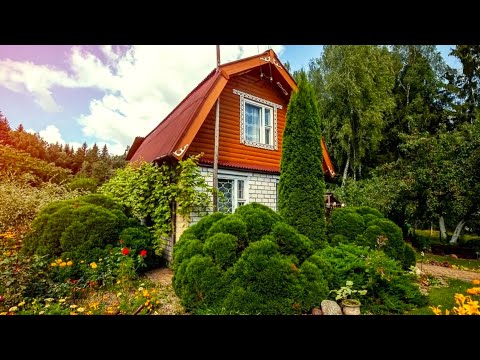 Видео: Оригинальные садовые идеи для вашего участка / Garden ideas for your garden