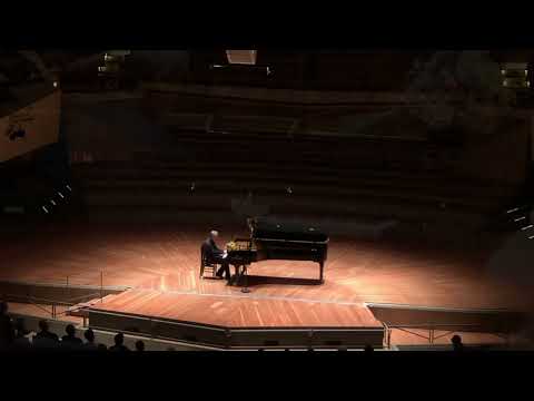 Видео: Михаил Плетнев «Жаворонок»  М. ГЛИНКА - М. БАЛАКИРЕВ