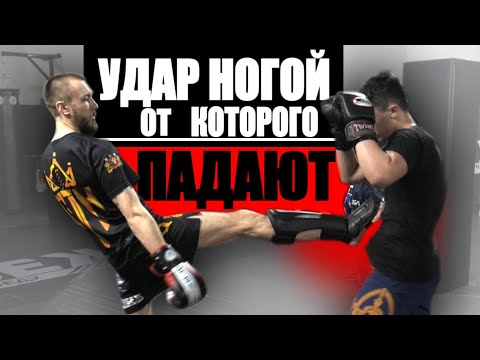 Видео: САМЫЙ КОВАРНЫЙ удар ногой, от которого падают / тип (фронт кик) в ММА