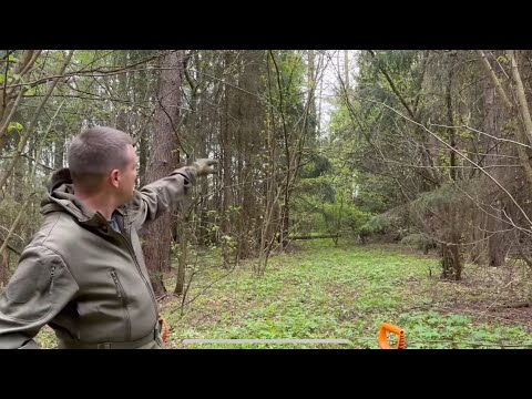 Видео: ТАКИЕ НАХОДКИ НЕЛЬЗЯ ПОКАЗЫВАТЬ !!! Что я нашел в проклятом лесу !!!