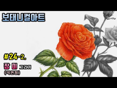 Видео: [Цветочный рисунок / Ботаническое искусство] № 24-2. Рисование цветным карандашом розой. Часть 1