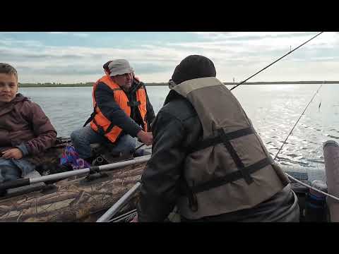 Видео: ЩУЧИЙ ДЕНЬ. 17 АВГУСТА 25 Г. ДУСАЙ-КИЧУ.