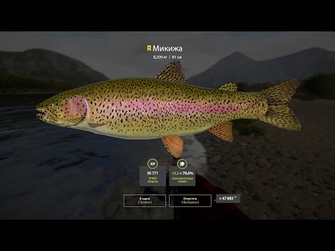 Видео: РР4 шортс.