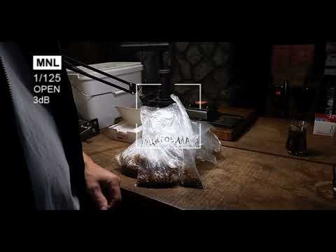 Видео: Табачок от Сергея - Самсун-85.