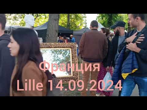 Видео: 54.2 Франция, ежегодная барахолка в городе Лиль. Обзор экскурсия. #барахолка