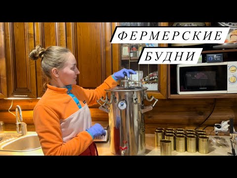 Видео: Отвечаем на ваши вопросы.  Готовим говяжью тушенку.