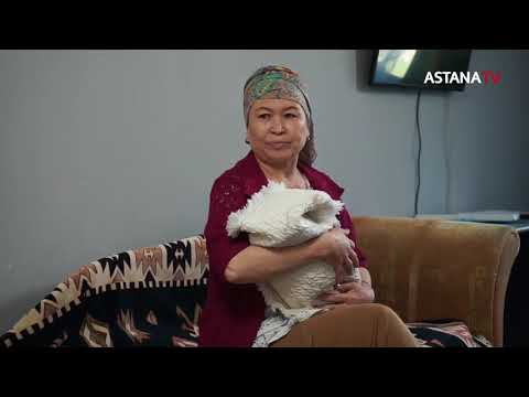 Видео: Қара ой (31.08.2021)