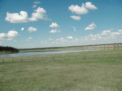 Видео: Сайсары куо