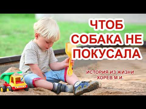 Видео: ЧТОБ СОБАКА НЕ ПОКУСАЛА! История из жизни. Хорев М.И. Пример отца. Воспитание