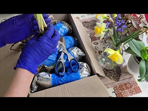 Видео: Розпаковка 🎁Неочікувана посилка-сюрприз від підписниці. Вазони для ампельних квітів.