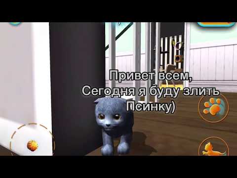 Видео: Смешная история в симулятор кота онлайн 2015 | funny moments cat simulator online 2005 (троллинг)