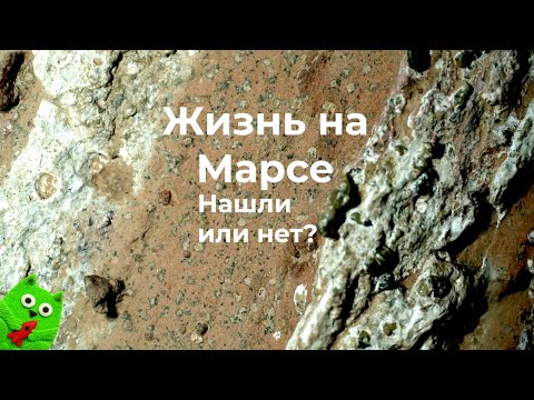 Видео: Нашел ли Perseverance жизнь на Марсе?