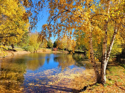 Видео: ФОРТЕПИАНО И ОСЕННИЕ  ПЕЙЗАЖИ композитор Эмилия Пермякова PIANO AND AUTUMN by Emiliya Permiakova
