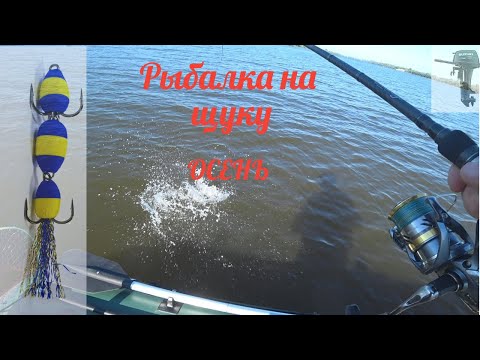 Видео: Рыбалка поздней осенью на Вазузском водохранилище.