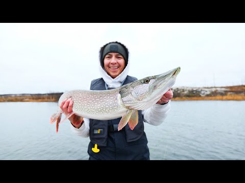 Видео: Рыбалка при минусовых температурах для идеального улова