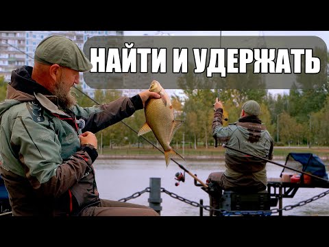 Видео: КАК ЗАСТАВИТЬ КЛЕВАТЬ "ПРАВИЛЬНУЮ" РЫБУ. ЧТО ДЕЛАТЬ, ЧТО БЫ СПРОВОЦИРОВАТЬ ЛЕЩА НА ПОКЛЁВКУ.