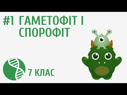 Видео: Гаметофіт і спорофіт #1