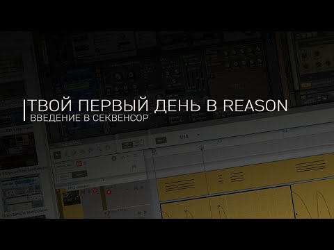 Видео: Твой первый день в Reason