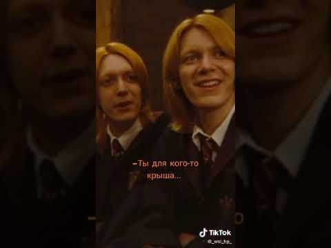 Видео: Подборка видео с близнецами Уизли из тик тока