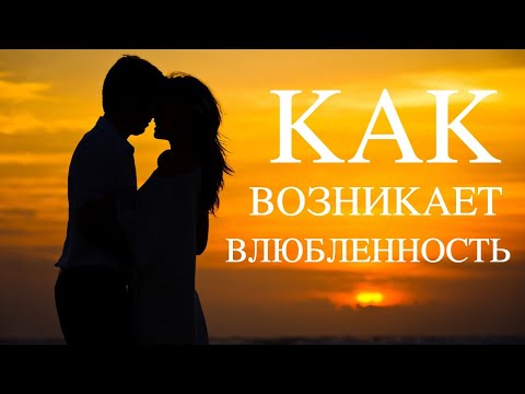 Видео: Как возникает влюбленность? / Психология отношений
