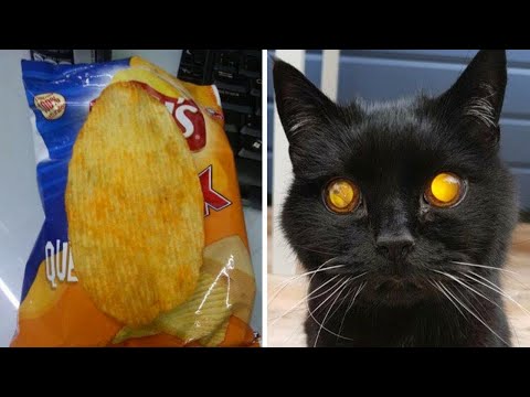 Видео: А это точно с нашей планеты? (2 серия)