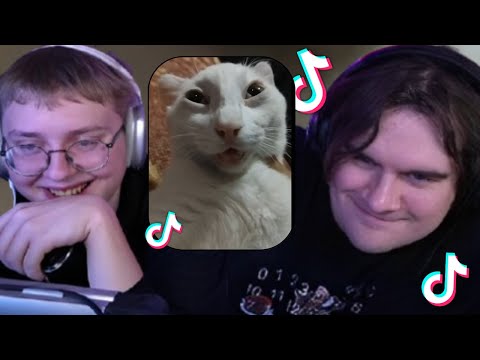 Видео: БРАТИШКИН И ДРЕЙК СМОТРЯТ: ТИКТОК