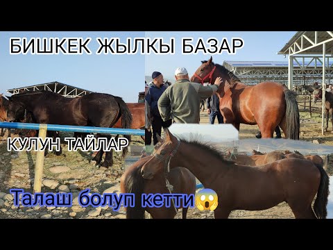 Видео: 13-СЕНТЯБРЬ БИШКЕКТИН БАЗАРЫ КАТТУУ БОЛДУ КУЗ КЕЛИП 