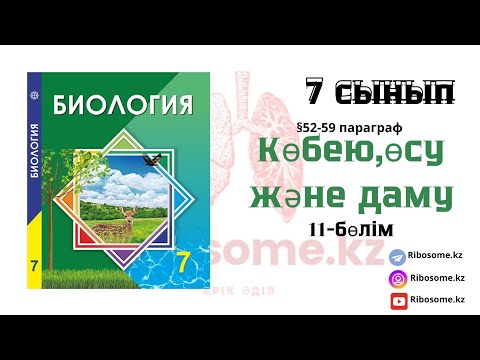 Видео: 7-сынып Көбею,өсу және даму §52-59 тақырып 11-бөлім / Ribosome.kz / Ерік Әділ