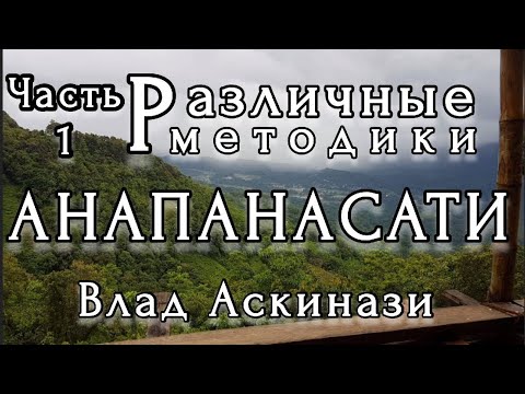 Видео: Влад Аскинази. Различные методики Анапанасати. Часть1. Аджан Буддадаса, Аджан Брахм, Па Аук Саядо