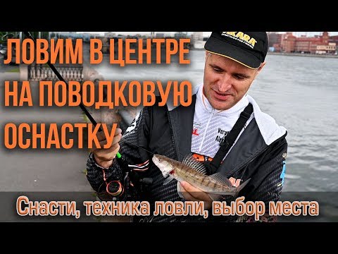 Видео: Ловим окуня, судака и щуку на Неве в центре Санкт-Петербурга поводковой оснасткой.