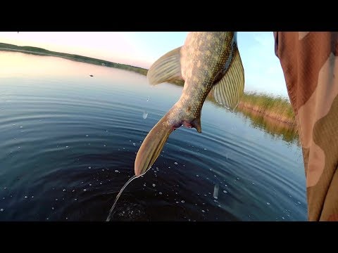 Видео: Ловля щуки на спиннинг / "C&R" /  "Черные камни - 4"  / Июль 2018 г.